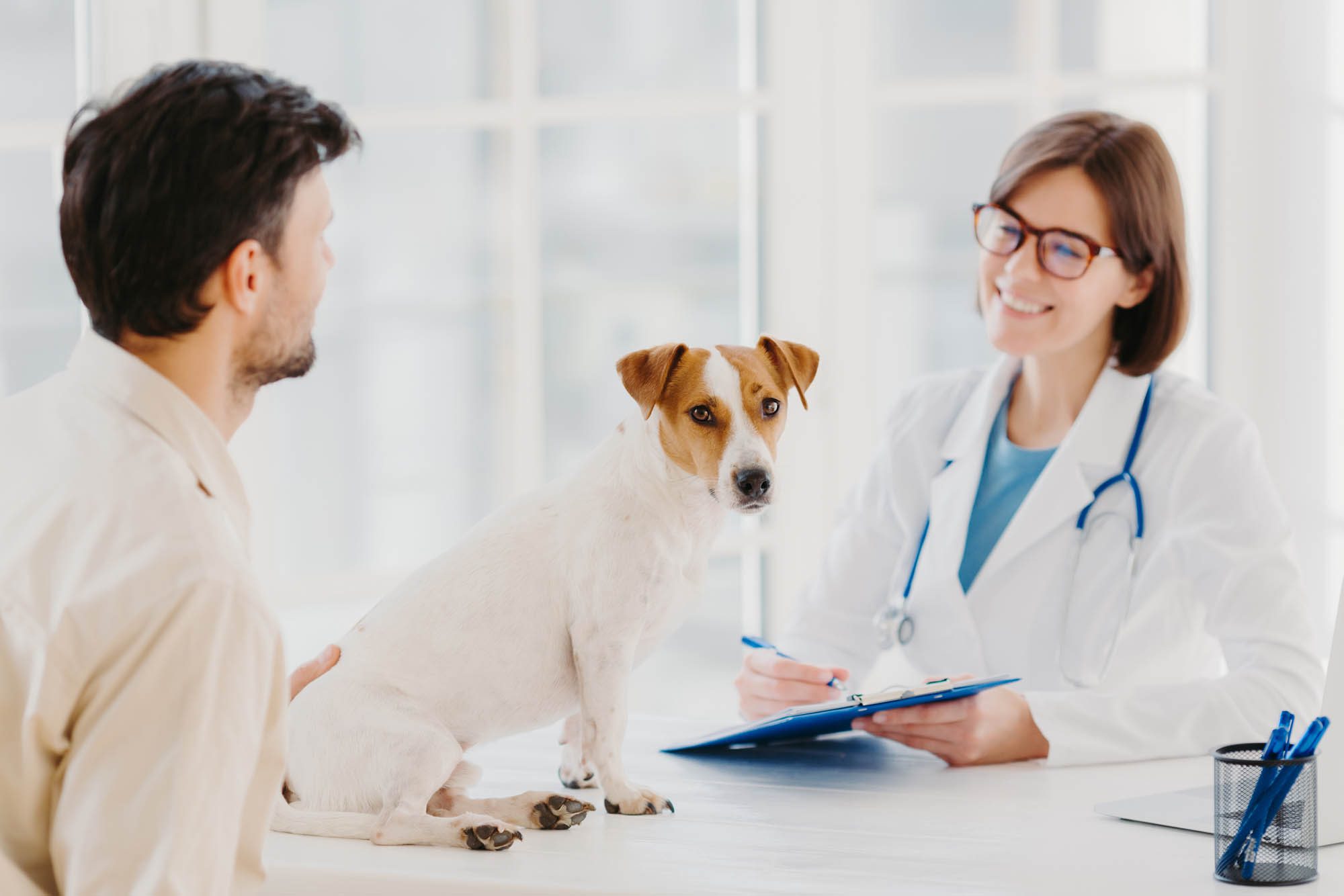 Business consultants in the veterinary industry: What do they do, how ...